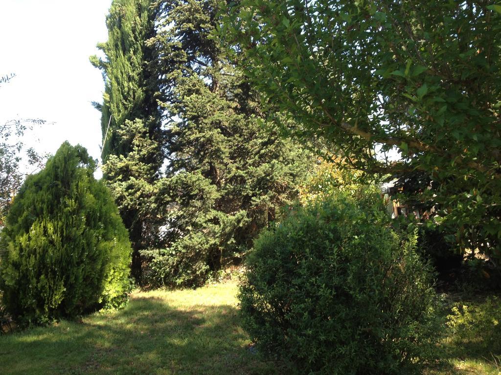 Il Belvedere Di Roccavo Villa Castiglion Fiorentino Buitenkant foto